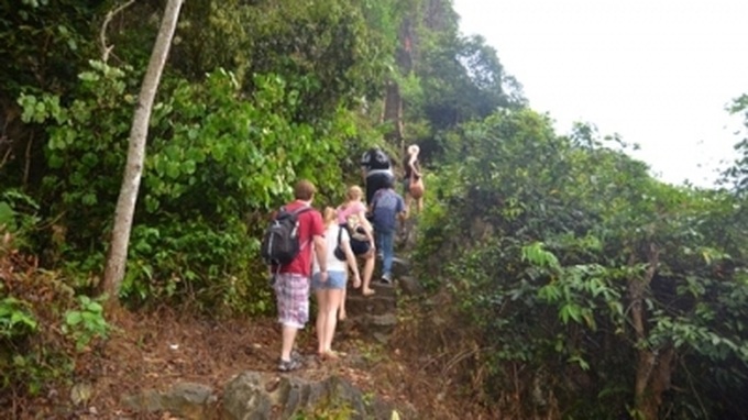 Efforts made to preserve biodiversity in Cat Ba National Park - 1