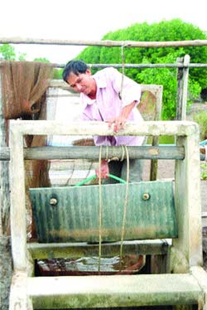 Shrimp project helps create ‘organic coast' - 3