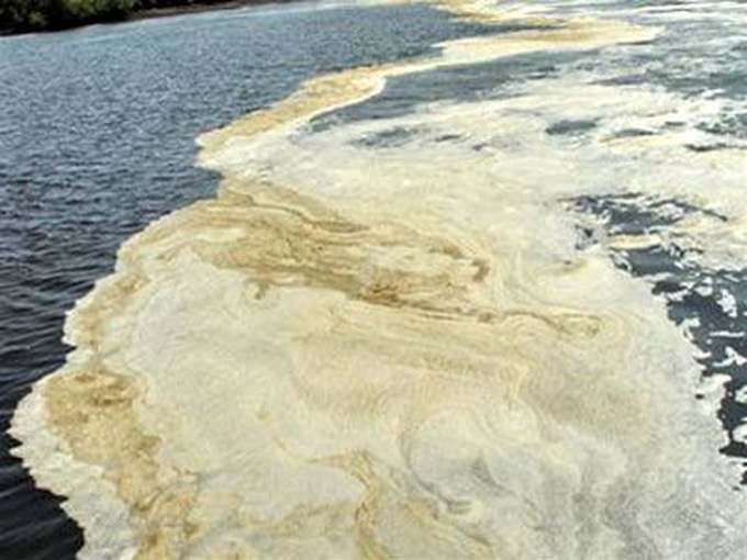 Dong Nai suffers increasing industrial pollution - 1