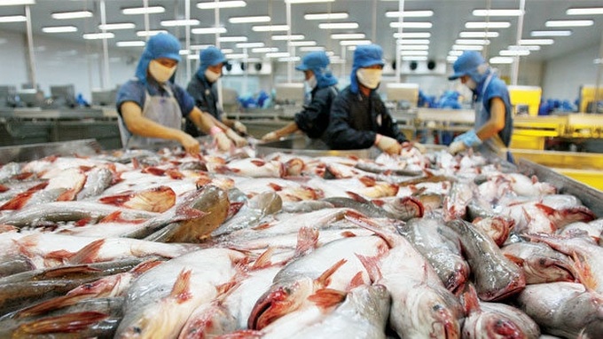 Vietnam seeks US approval to 13 catfish producers - 1