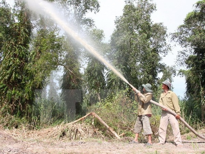 Ca Mau’s U Minh Ha cajuput forest temporarily closed - 1