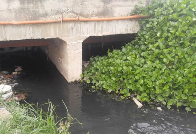 Sewage pollutes Sam Son Beach - 1