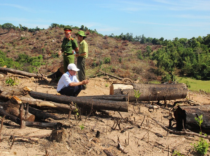 Director detained for huge forest destruction crime - 1 Director detained for huge forest destruction crime - 1