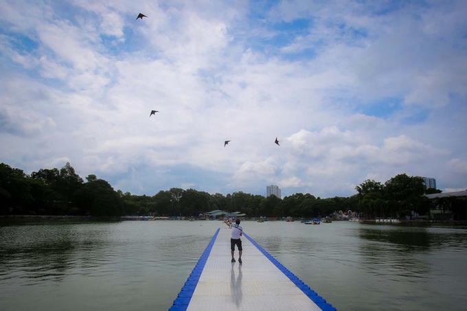 Kite festival in HCM City - 2