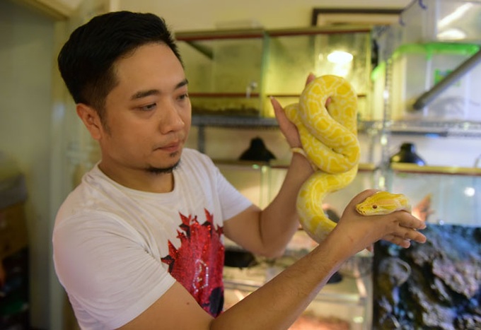 Hanoi reptile lover cares for 30 snakes - 1 Hanoi reptile lover cares for 30 snakes - 1