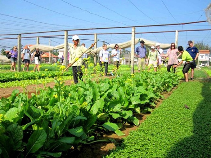 Hoi An community eco-tourism piloted - 1