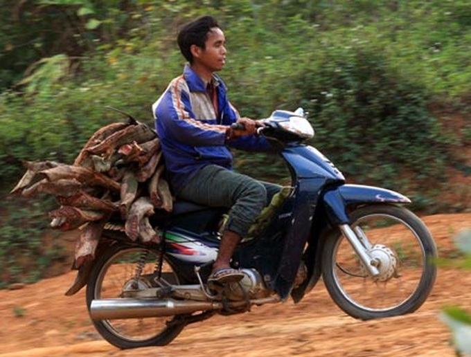 Herb becomes rare due to rampant harvesting - 2 Herb becomes rare due to rampant harvesting - 2