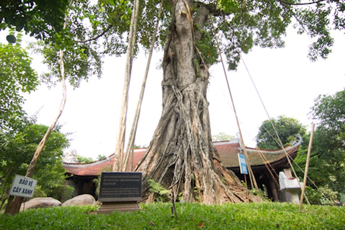 A walk through Van Phuc Silk Village in modern times - 2