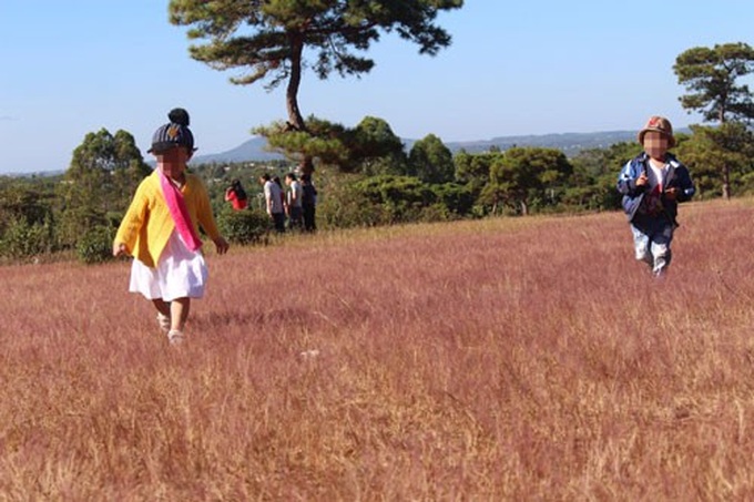 200 hectares forest land earmarked for golf course - 1