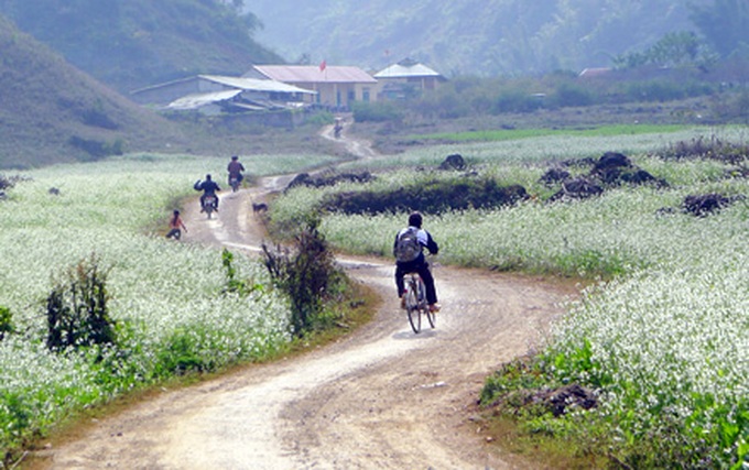 Peaceful Moc Chau before the spring - 4 Peaceful Moc Chau before the spring - 4