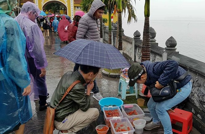 Released fish, turtles caught for sales again in front of Hanoi pagoda - 2
