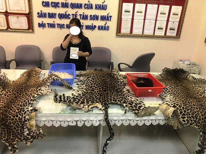Wildlife smuggling intercepted at Tan Son Airport - 1