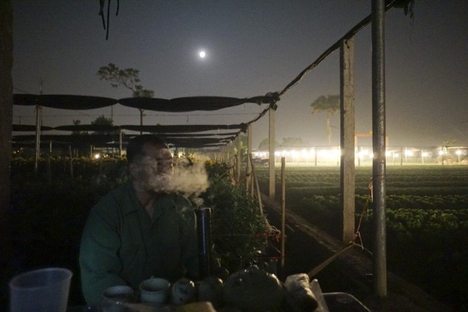 Hanoi flower village sparkles at night - 10