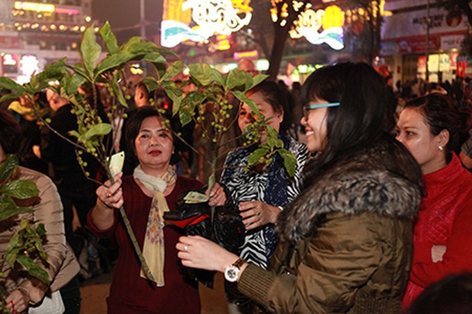 Firework displays welcome the Year of the Goat - 10