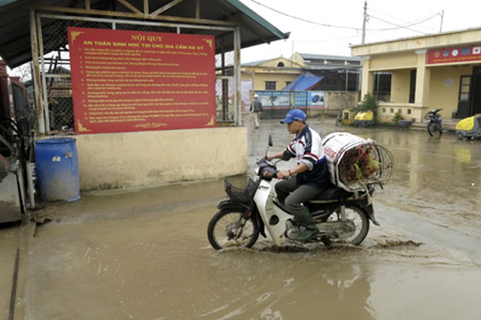 Bird flu scare prompts tighter restrictions - 10 Bird flu scare prompts tighter restrictions - 10