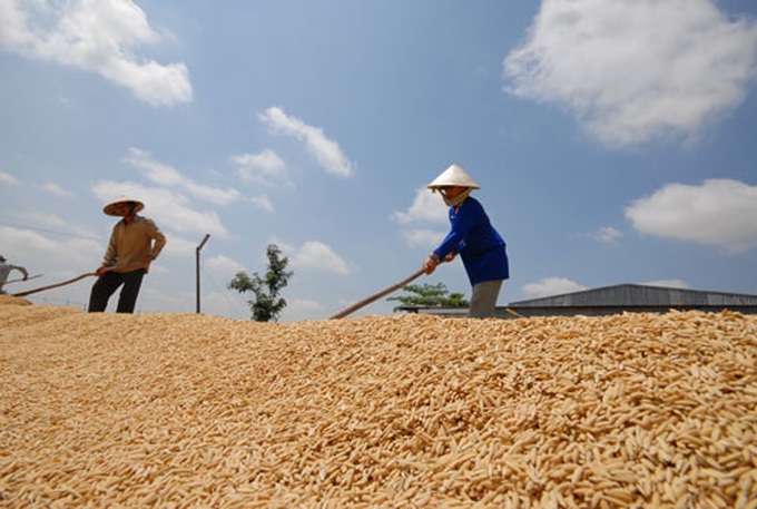 Migration crisis looms over Mekong Delta - 1