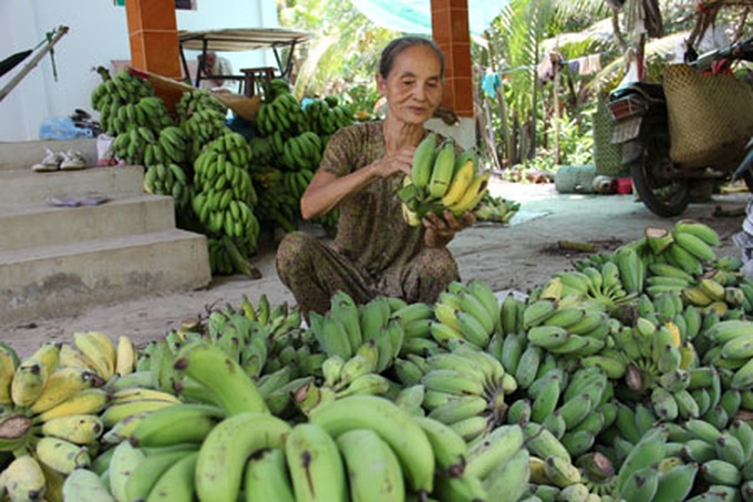 The Chiquita-Fyffes Merger: Should Vietnamese banana farmers adopt mass production or product diversification? - 1