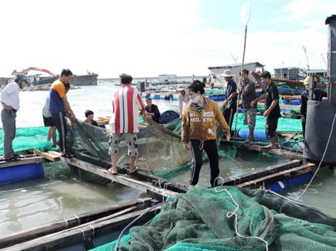 Islanders abandon lobster farming - 1