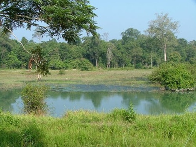 Land reclaimed for afforestation - 1 Land reclaimed for afforestation - 1