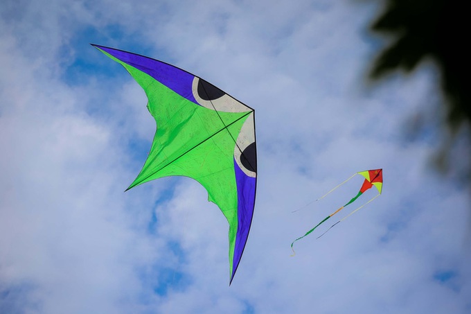 Kite festival in HCM City - 8