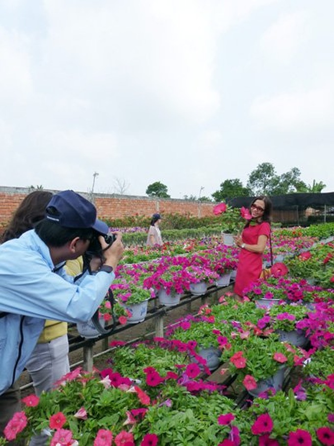 Sa Dec flower village blossoms in spring - 4 Sa Dec flower village blossoms in spring - 4