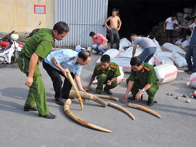 Haiphong port overloaded with abandoned containers - 2 Haiphong port overloaded with abandoned containers - 2