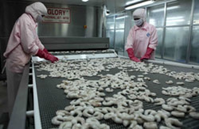 Asians seek more Vietnam shrimp - 1