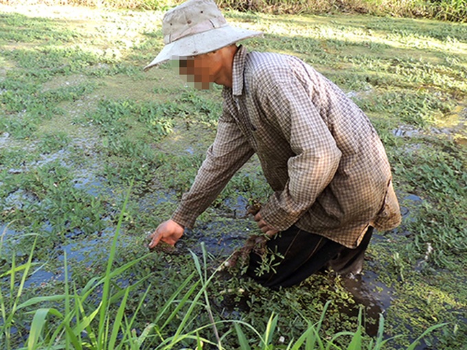 Farmers in Ben Tre infected with HIV without known cause - 1