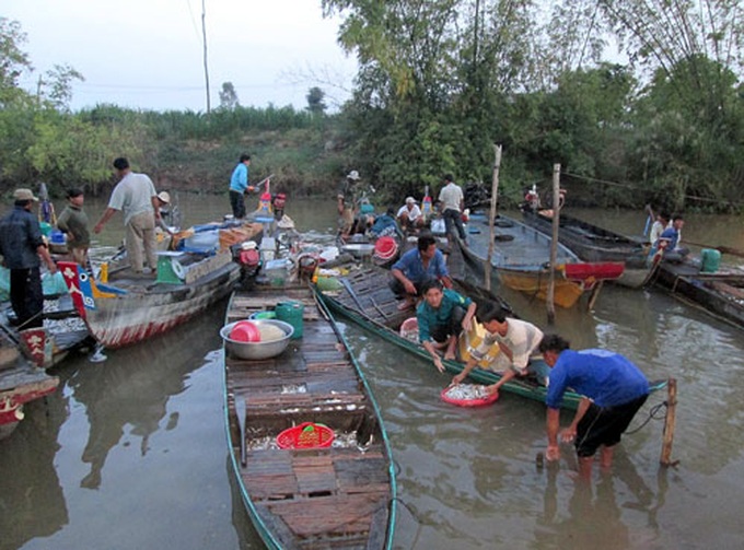 Mekong Delta awaits floods - 1 Mekong Delta awaits floods - 1