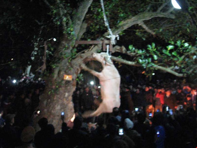 Cruel traditional ceremonies criticised - 1 Cruel traditional ceremonies criticised - 1