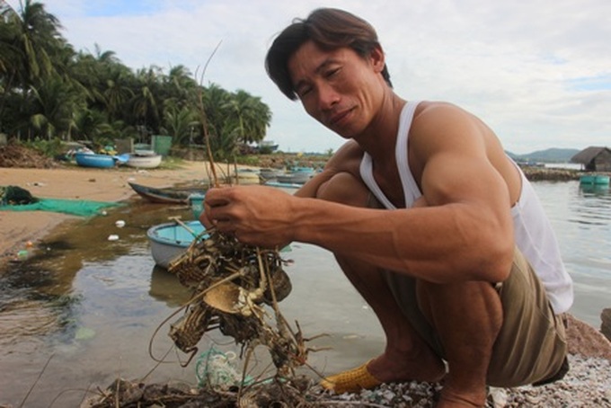 Phu Yen farmers accuse local company of causing lobster deaths - 1