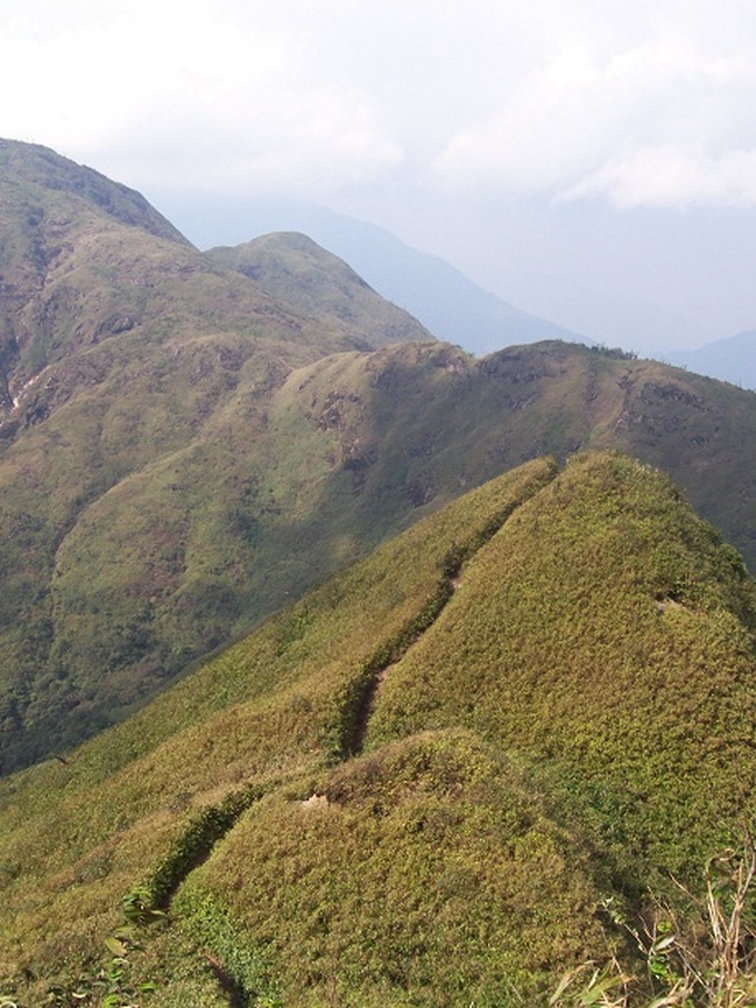 Rare plants make Hoang Lien National Park attractive to visitors - 11 Rare plants make Hoang Lien National Park attractive to visitors - 11