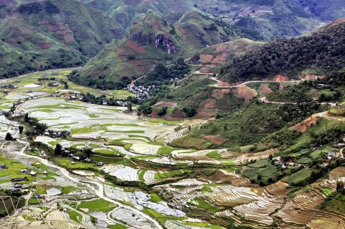Transplanting rice seedlings in Hoang Su Phi - 7