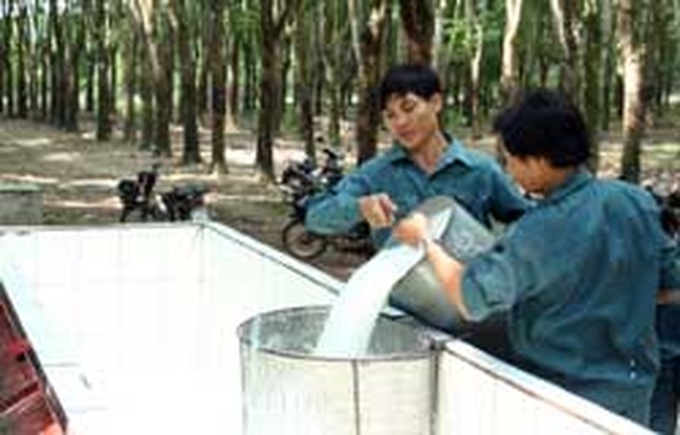 Rubber strategy gets approval - 1