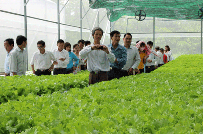 500 workers to go to Japan to study agriculture skills - 1