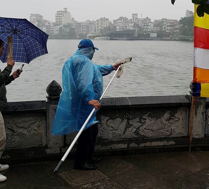 Released fish, turtles caught for sales again in front of Hanoi pagoda - 5