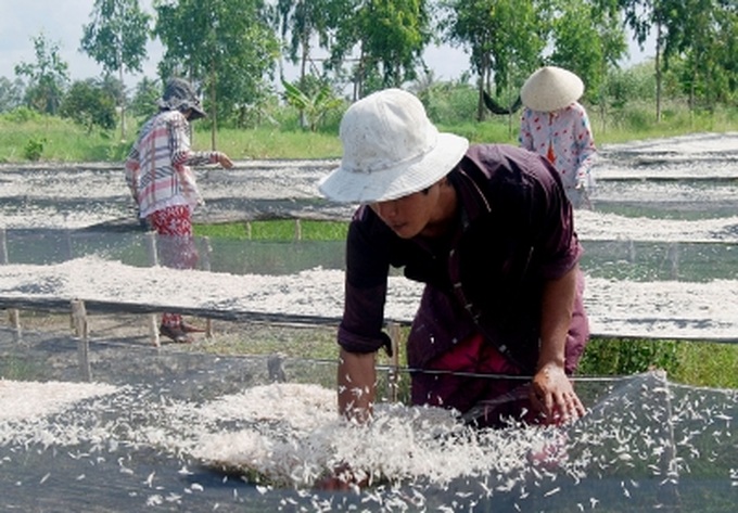 Ca Mau to relocate those living in vulnerable areas - 1