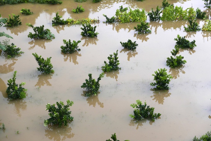 Hanoi river slum in flooding season - 12