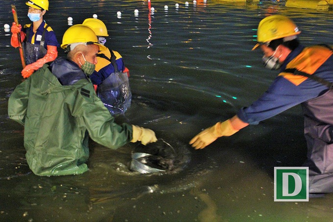 Hundreds of workers dredge Hoan Kiem Lake overnight - 3