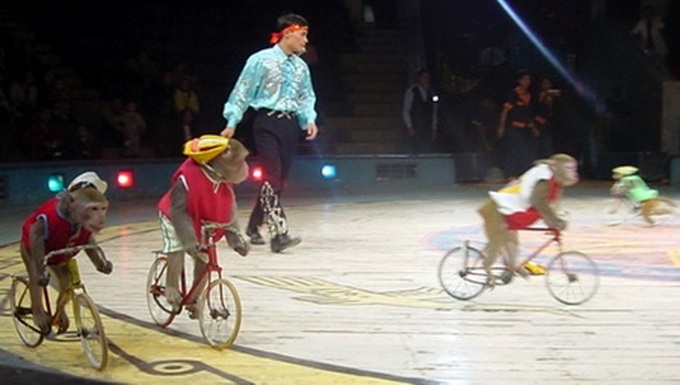Circus artists to debut special performance for children - 1 Circus artists to debut special performance for children - 1
