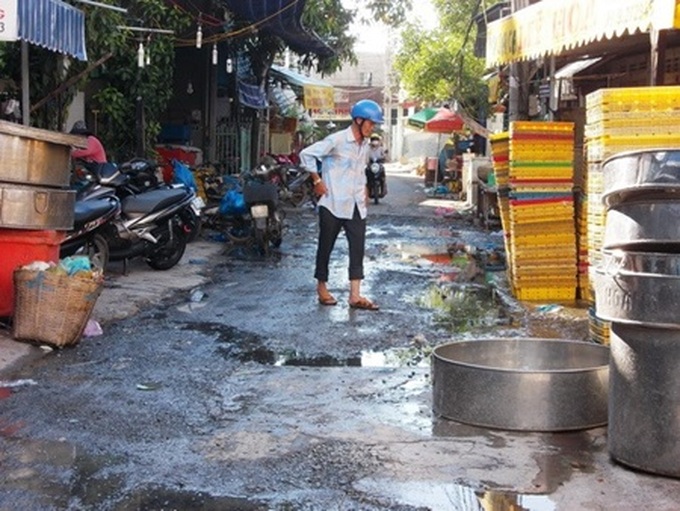 Temporary fish market pollutes Mekong Delta region - 1