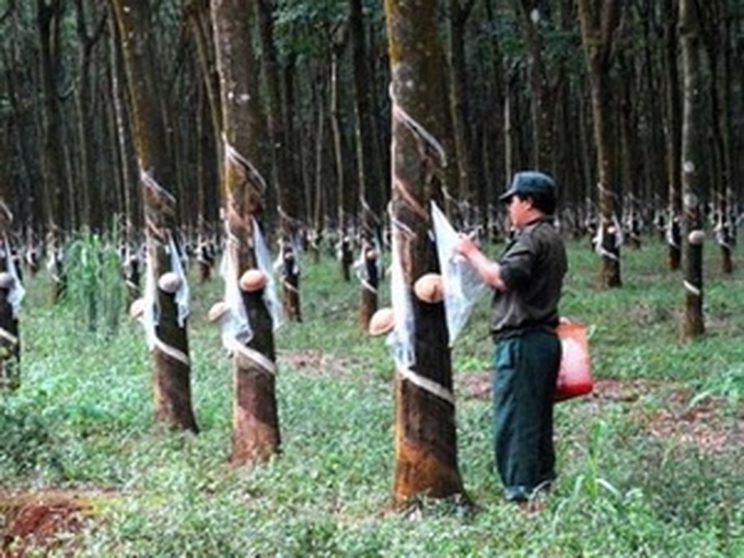 Vietnam leads Cambodian investment in 2011 - 1