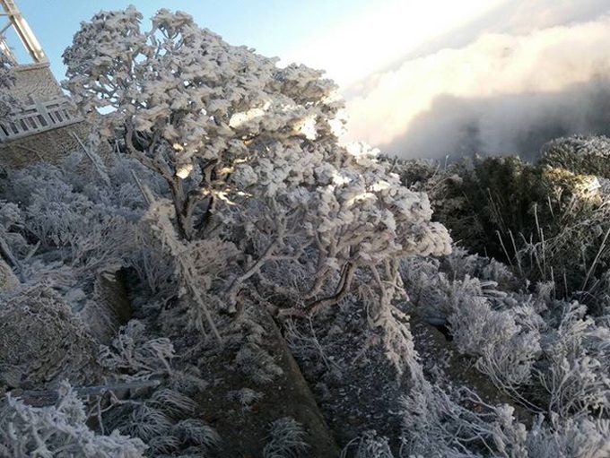 Mount Fansipan covered in frost and snow - 2