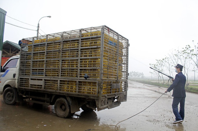 Bird flu scare prompts tighter restrictions - 2 Bird flu scare prompts tighter restrictions - 2