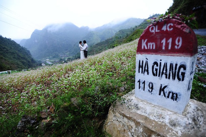 Dong Van stone plateau in buckwheat flower season - 4