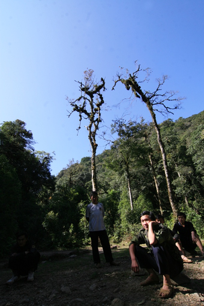 “Athletes” on the roof of Indochina - 5