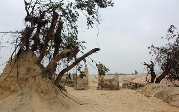 Ancient temple unearthed in central Vietnam - 12 Ancient temple unearthed in central Vietnam - 12