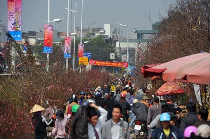 Tet atmosphere covers flower markets in Hanoi, Hue, Danang - 2 Tet atmosphere covers flower markets in Hanoi, Hue, Danang - 2