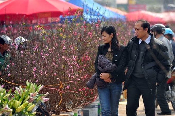 Tet atmosphere covers flower markets in Hanoi, Hue, Danang - 5 Tet atmosphere covers flower markets in Hanoi, Hue, Danang - 5