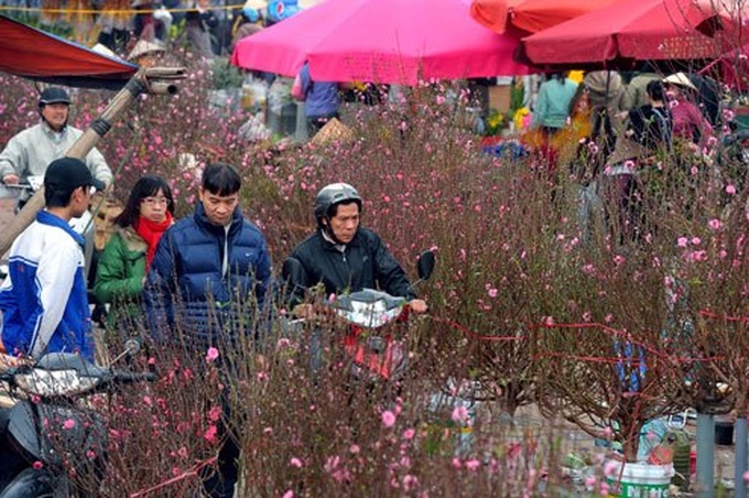 Tet atmosphere covers flower markets in Hanoi, Hue, Danang - 6 Tet atmosphere covers flower markets in Hanoi, Hue, Danang - 6